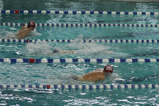 开云在线入口-“世界游泳锦标赛：2025新加坡赛场泳池掀起速度与优雅的碰撞”